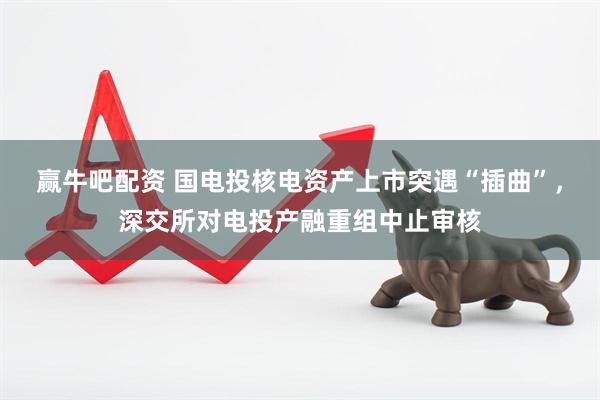 赢牛吧配资 国电投核电资产上市突遇“插曲”，深交所对电投产融重组中止审核