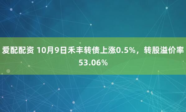 爱配配资 10月9日禾丰转债上涨0.5%，转股溢价率53.06%