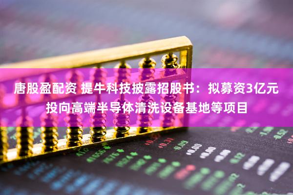 唐股盈配资 提牛科技披露招股书：拟募资3亿元投向高端半导体清洗设备基地等项目